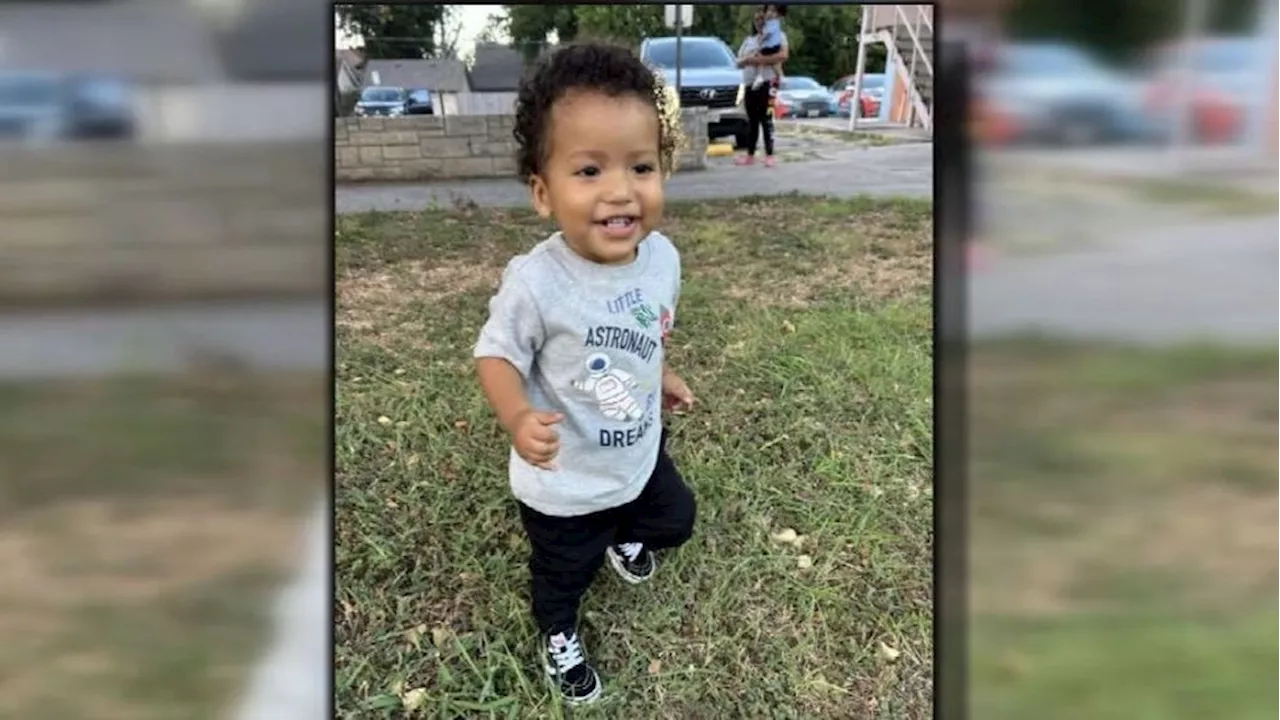 'Utter disbelief': Family prepares to bury 1-year-old boy mauled by babysitter's pit bulls