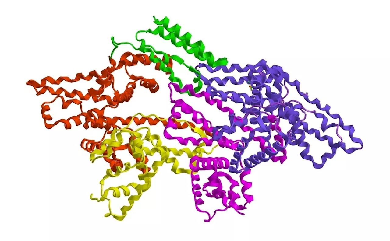 Polymer characterization for pharmaceutical applications