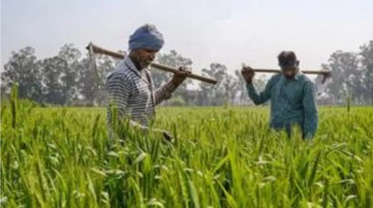 किसानों को सौगात, योगी सरकार दे रही कृषि उपकरणों पर सब्सिडी, ऐसे करें आवेदन