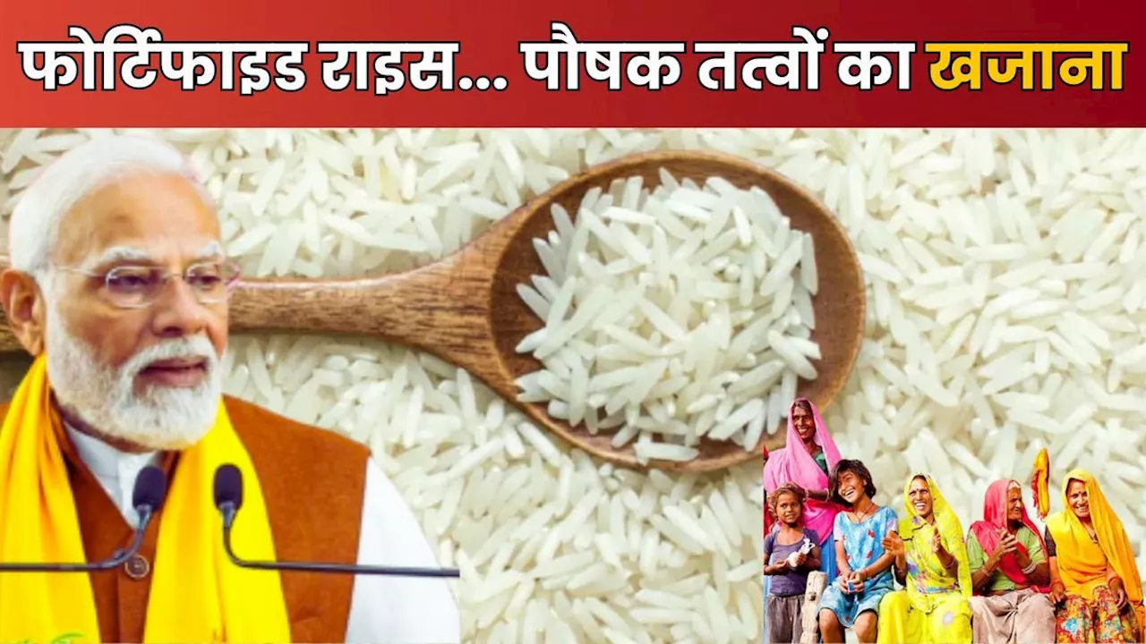 Fortified Rice: क्या है फोर्टिफाइड राइस, लोगों को भर-भरकर बांटेगी मोदी सरकार, हेल्दी इतना कि खाने से बढ़ेगी ताकत