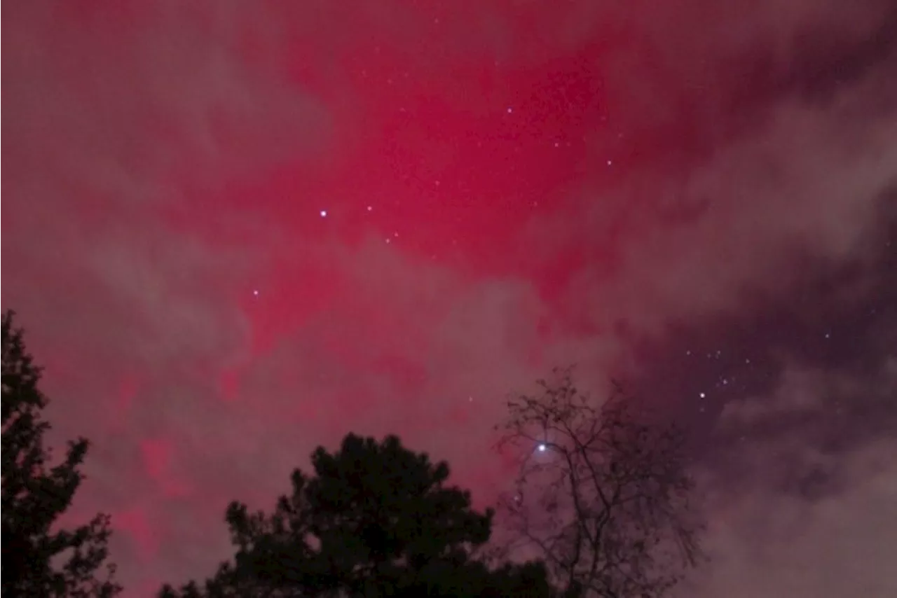 Magische beelden van noorderlicht in België: bekijk hier de mooiste foto’s