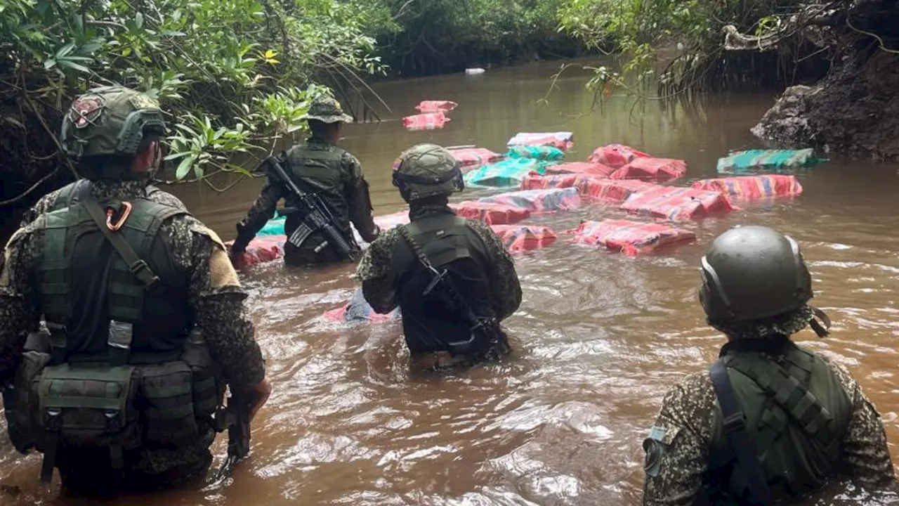 Armada incauta 1.5 toneladas de cocaína escondidas dentro de un árbol gigante en Chocó