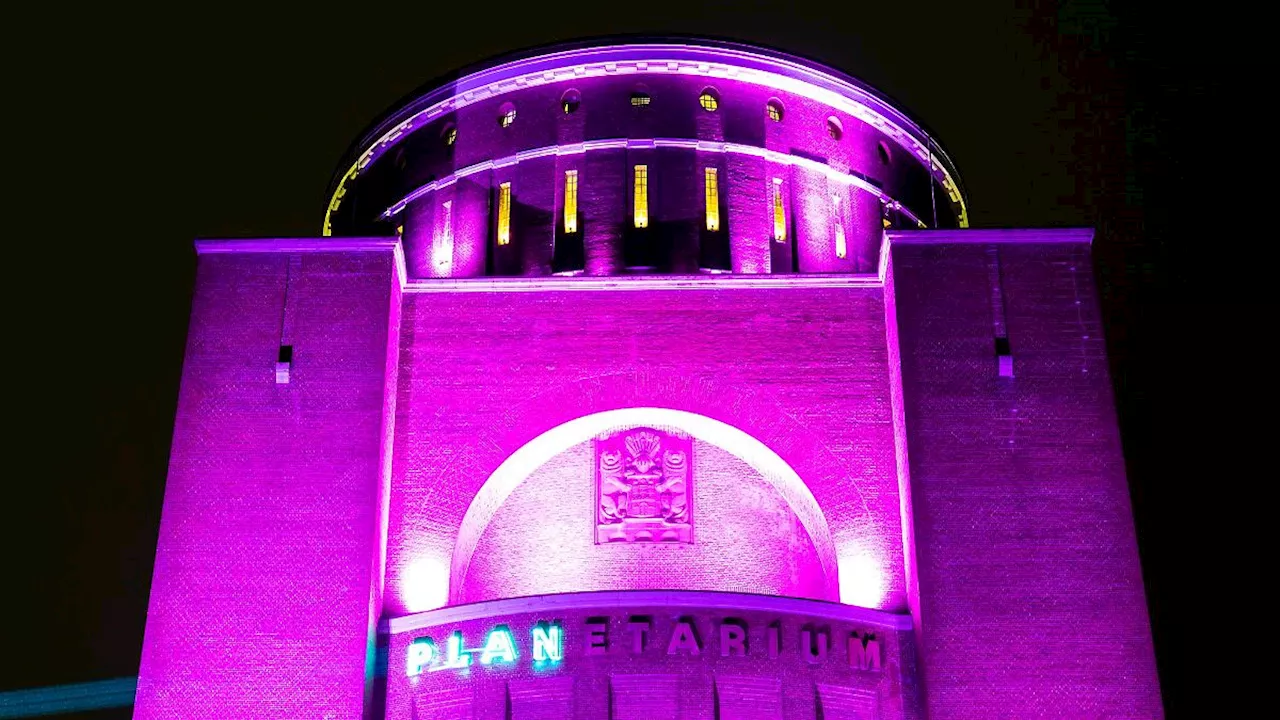 Hamburg & Schleswig-Holstein: Wahrzeichen strahlen zum Weltmädchentag in Pink