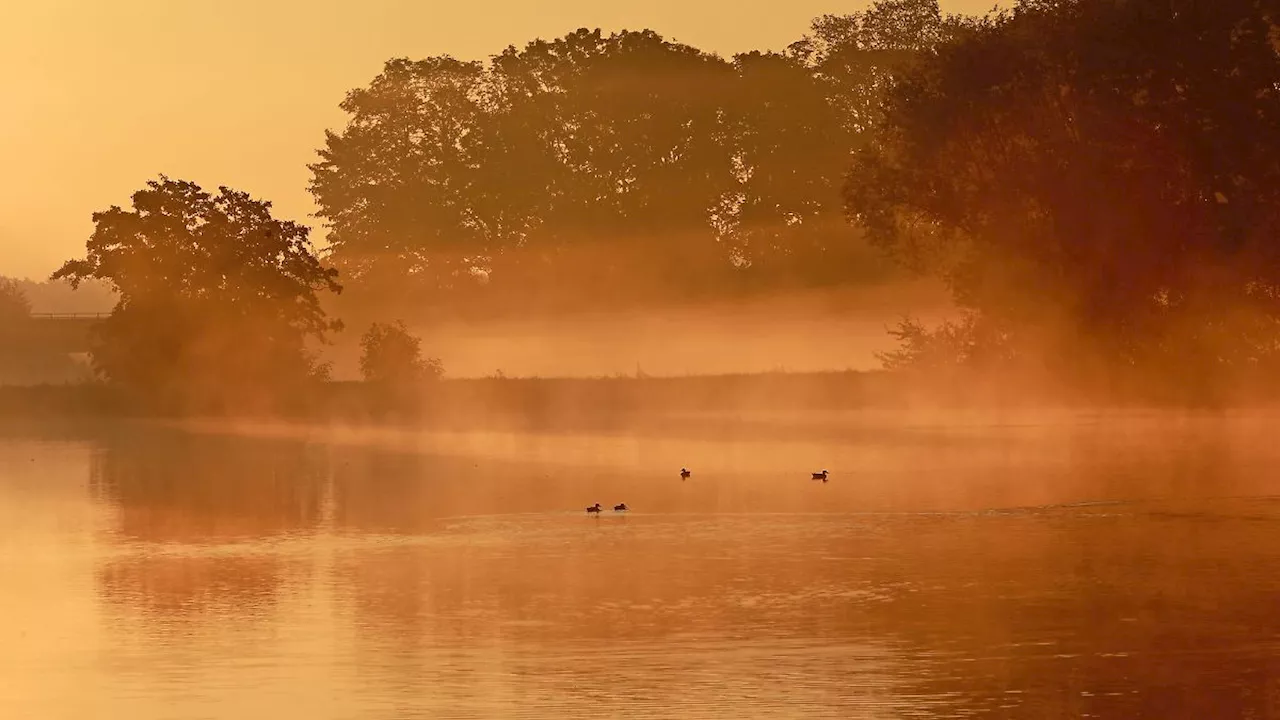 Sachsen-Anhalt: Ruhiges Herbstwetter in Sachsen-Anhalt