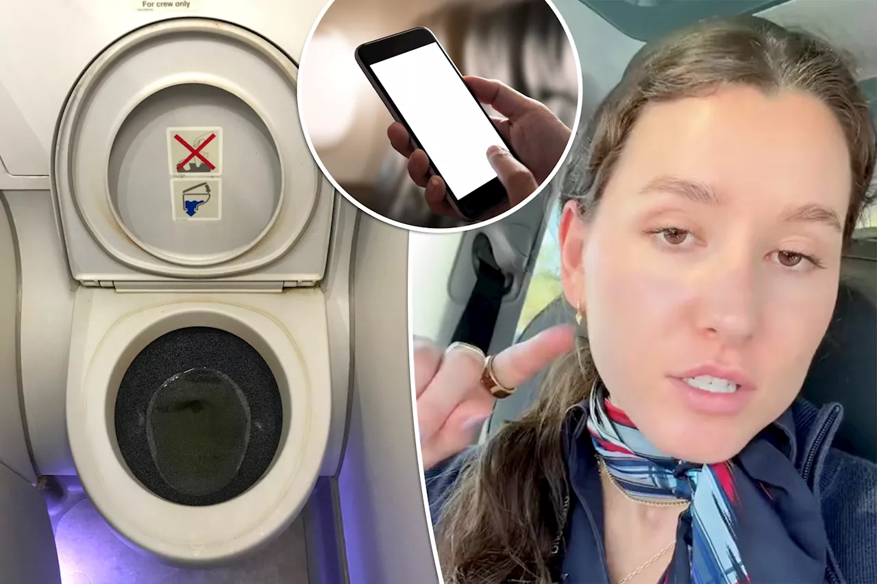 I'm a flight attendant — there's good news if your iPhone falls into an airplane toilet