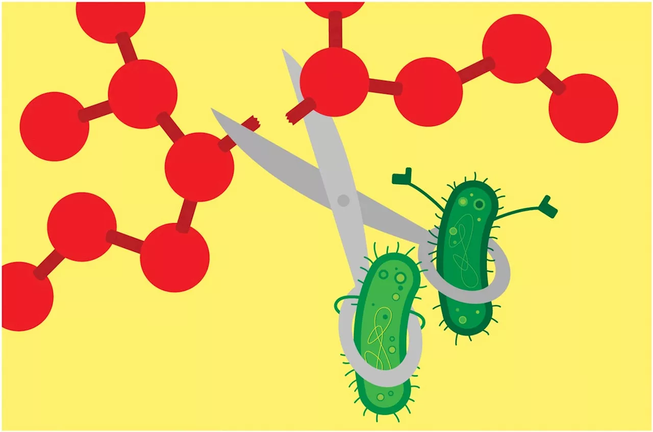 Enlisting Microbes to Break Down ‘Forever Chemicals’