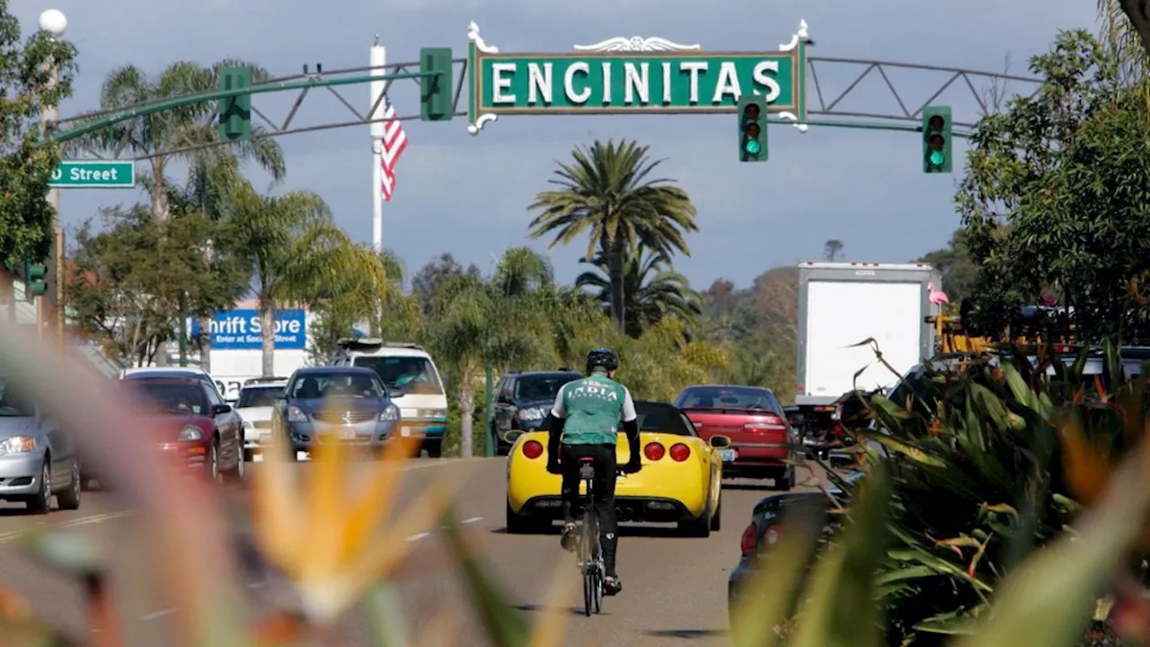 Encinitas mayor, two council seats up for election in November