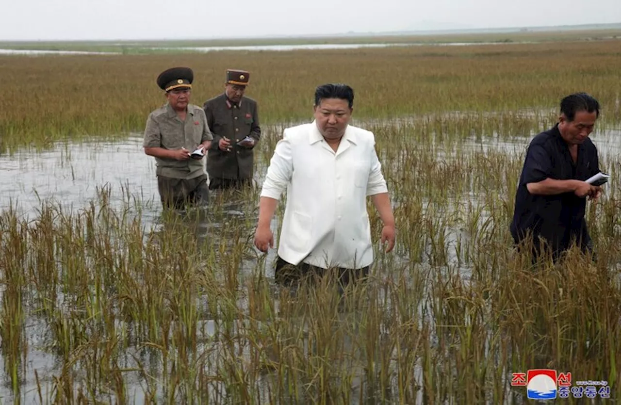 「みな死んでしまう」北朝鮮、収穫の秋に断末魔の叫び（2024年10月12日）｜BIGLOBEニュース