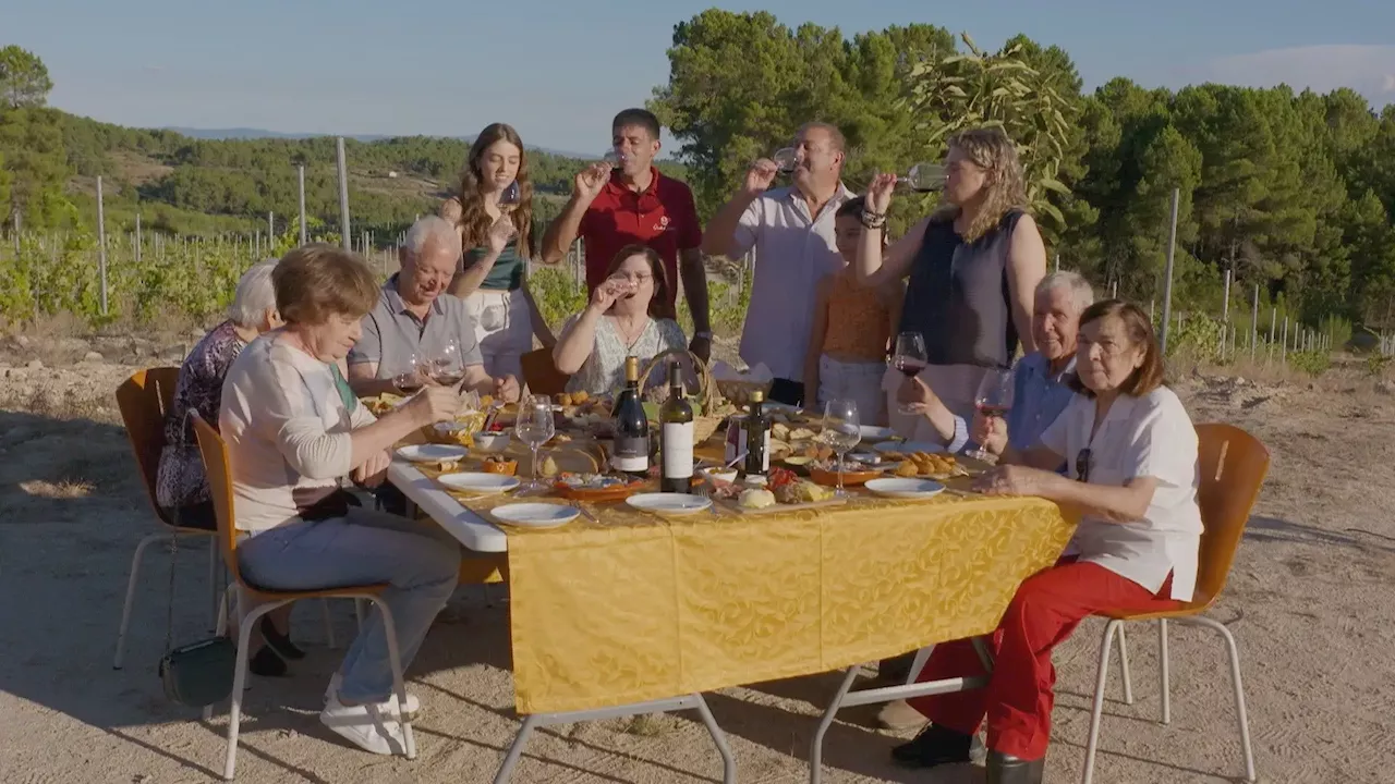 Famílias Vintage: como as vinhas antigas da família Neves podem florescer no presente