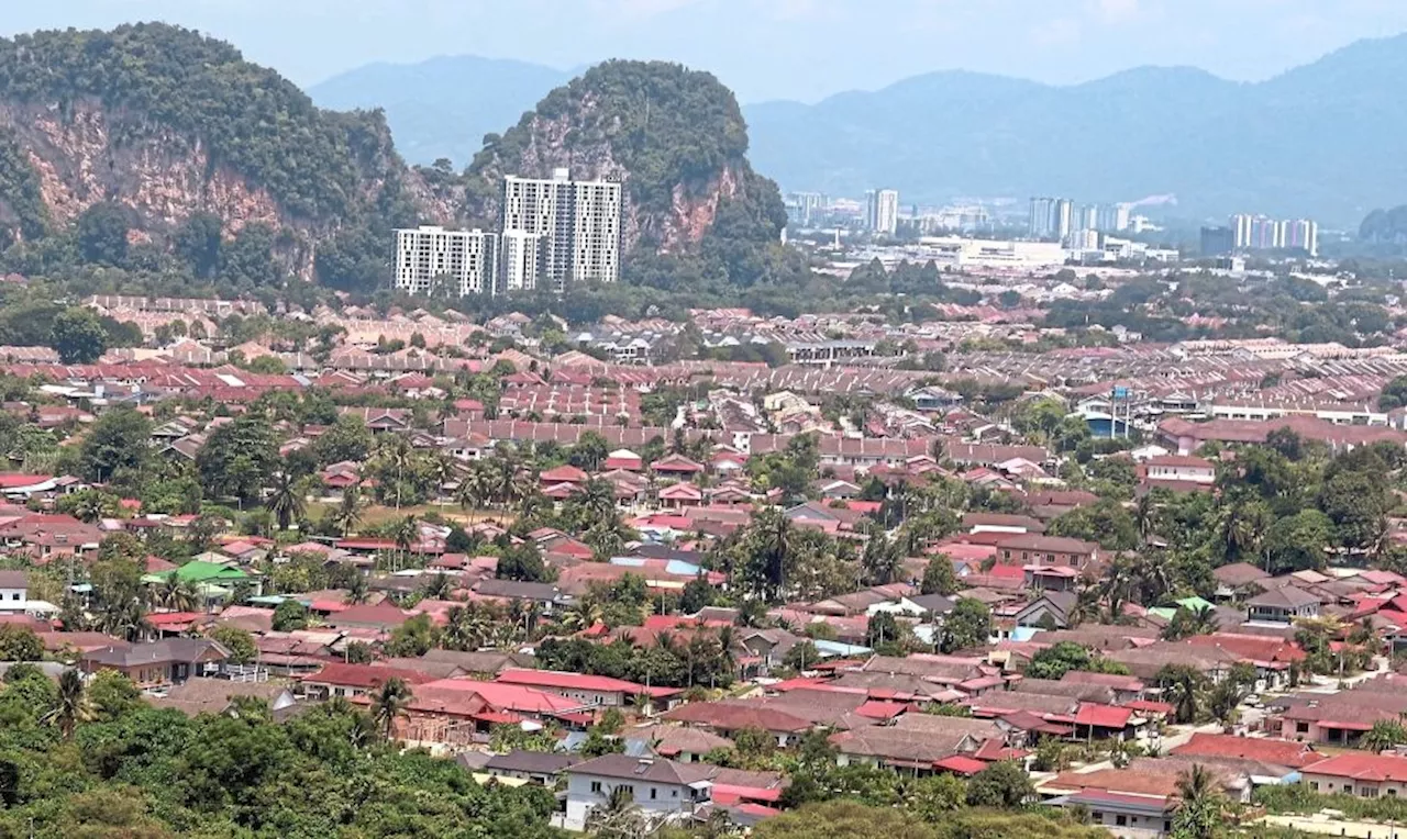 Monkeys, flash floods plague Ipoh suburb