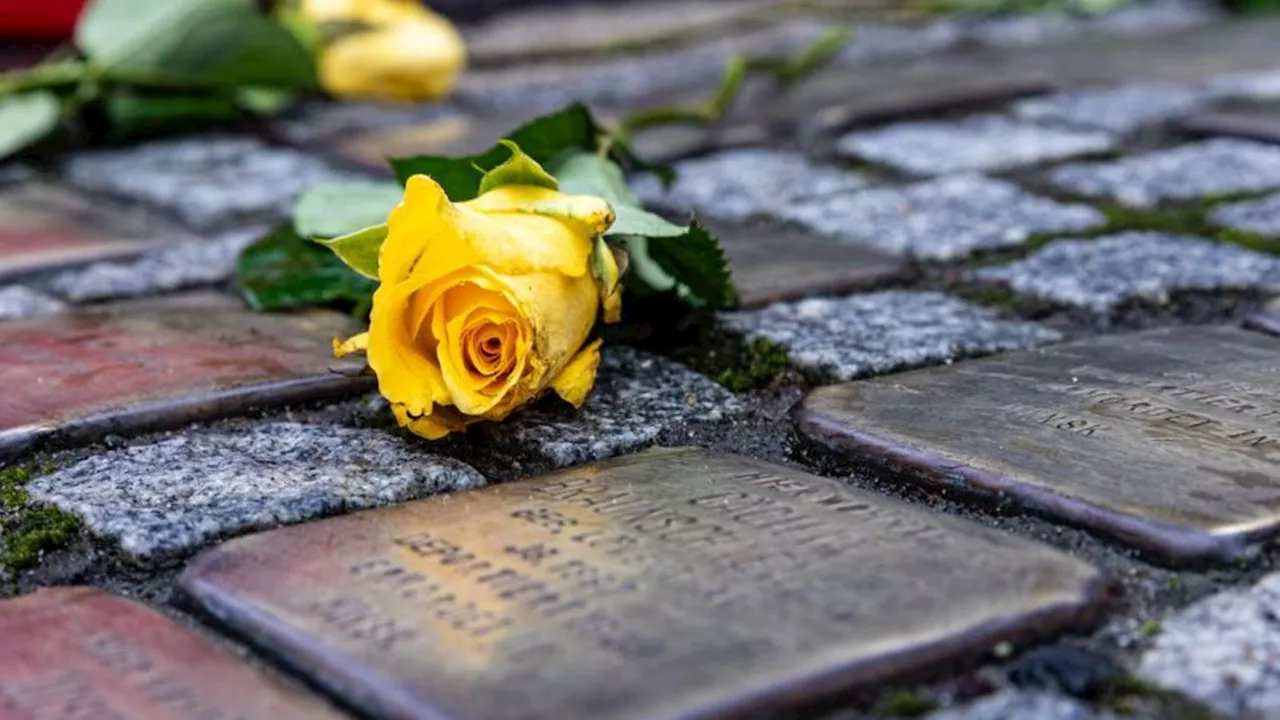 Opfer des Nationalsozialismus: Fast 18.000 Euro Spenden nach Diebstahl von Stolpersteinen