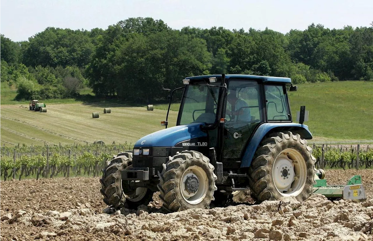 Budget 2025 : des allègements fiscaux pour les agriculteurs, « enfin du concret » pour la FNSEA