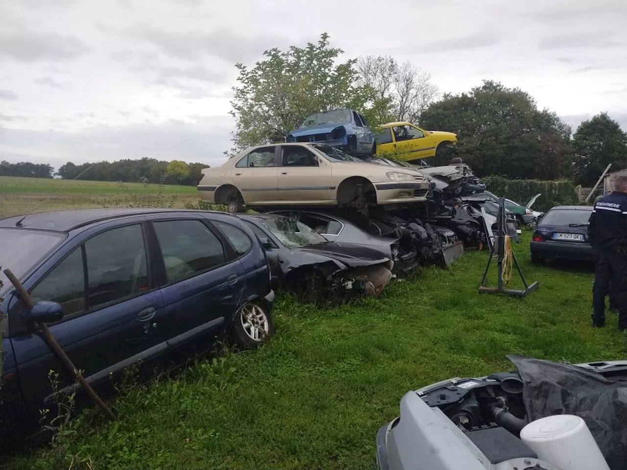 Les délinquants de l’environnement traqués par les gendarmes de Charente-Maritime