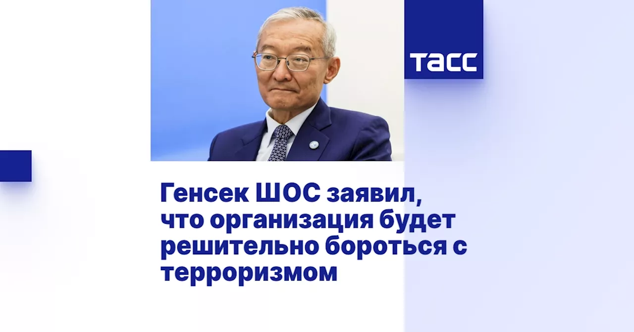 Генсек ШОС заявил, что организация будет решительно бороться с терроризмом