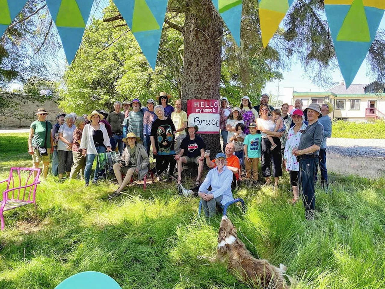 Sooke residents work to save downtown green space