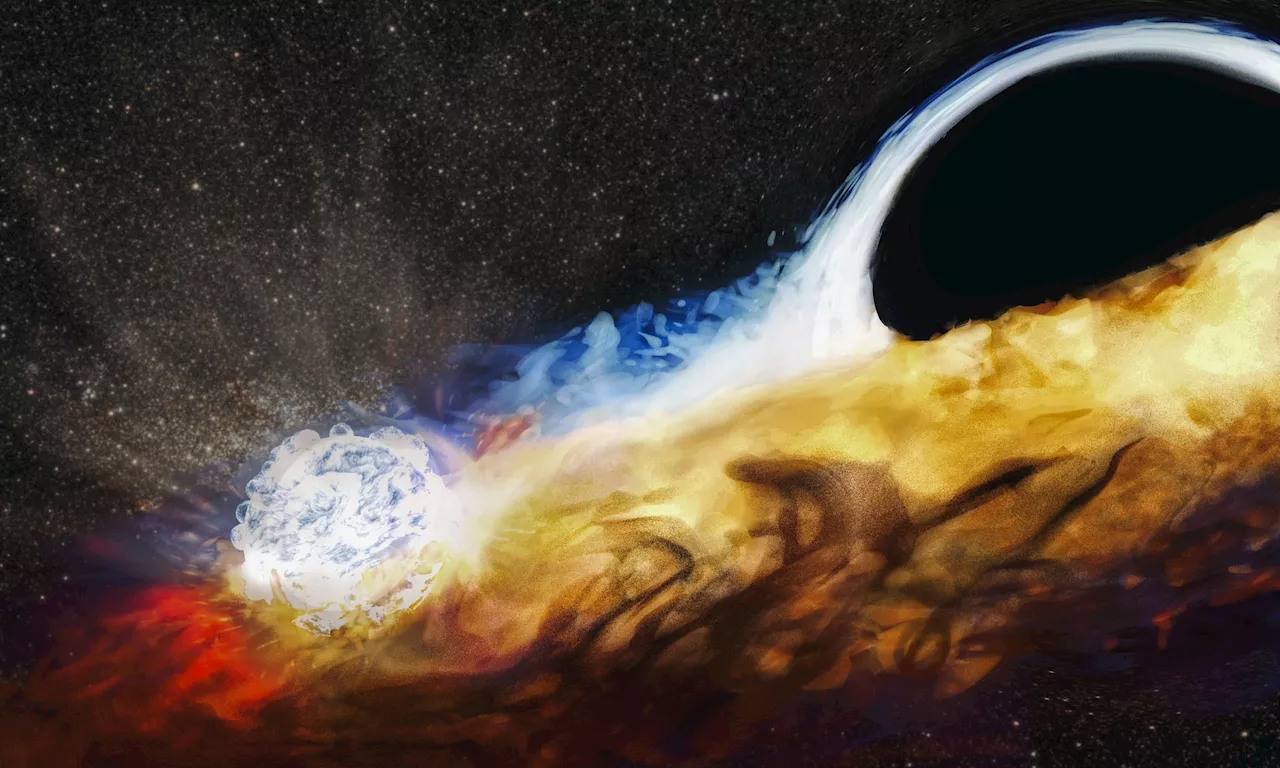 A Black Hole has Destroyed a Star, and Used the Wreckage to Pummel Another Star