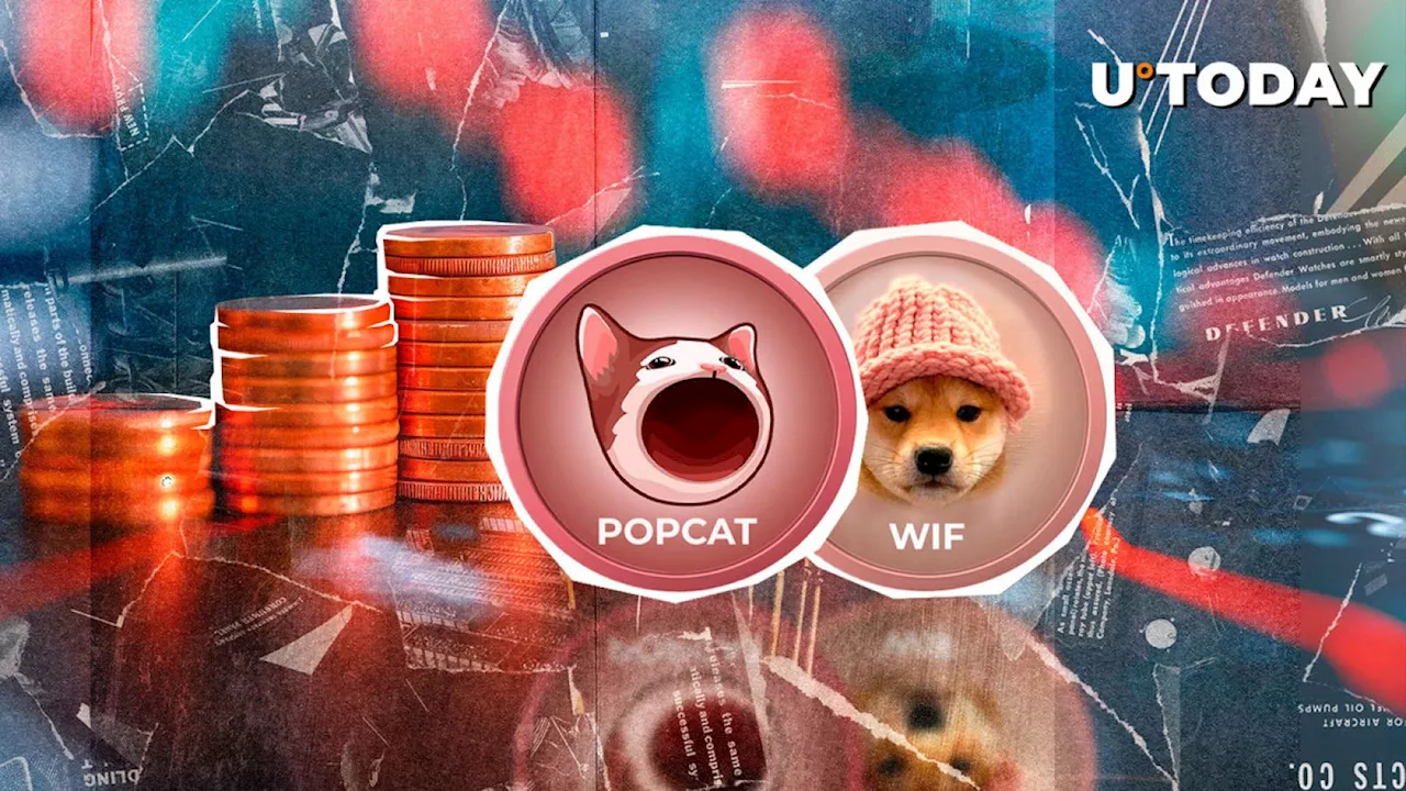 Meme Coins POPCAT, WIF Among Worst Performers in Top 100