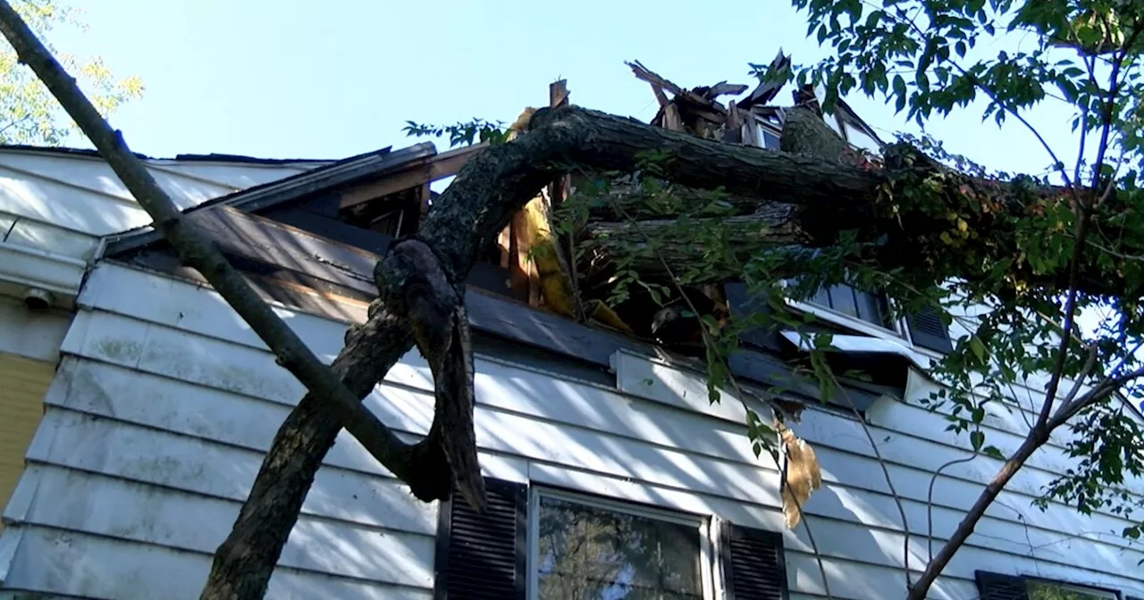 Roof destroyed by falling tree due to Hurricane Helene's remnants