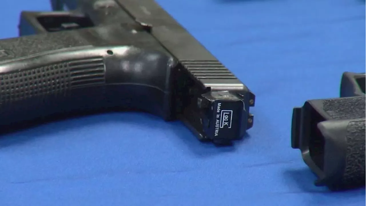 Governor's cabinet member and industry expert weigh in on new gun laws