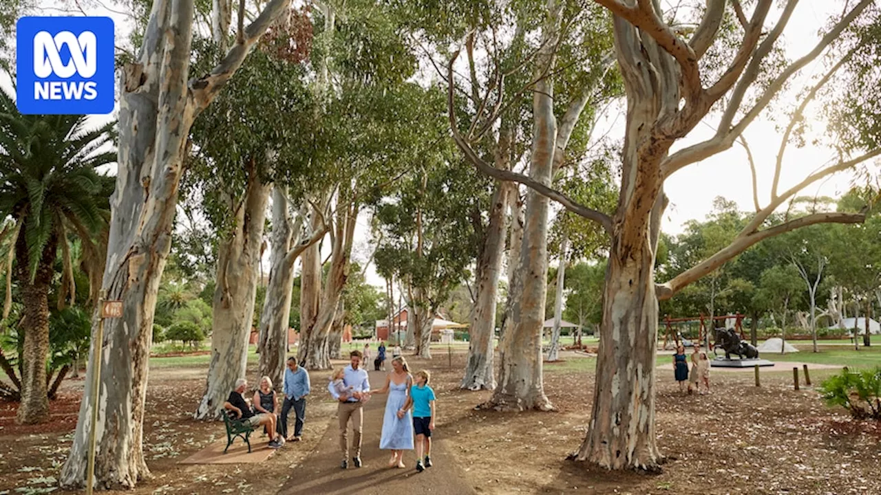 Guildford celebrates 100-year-old sugar gums saved by people power