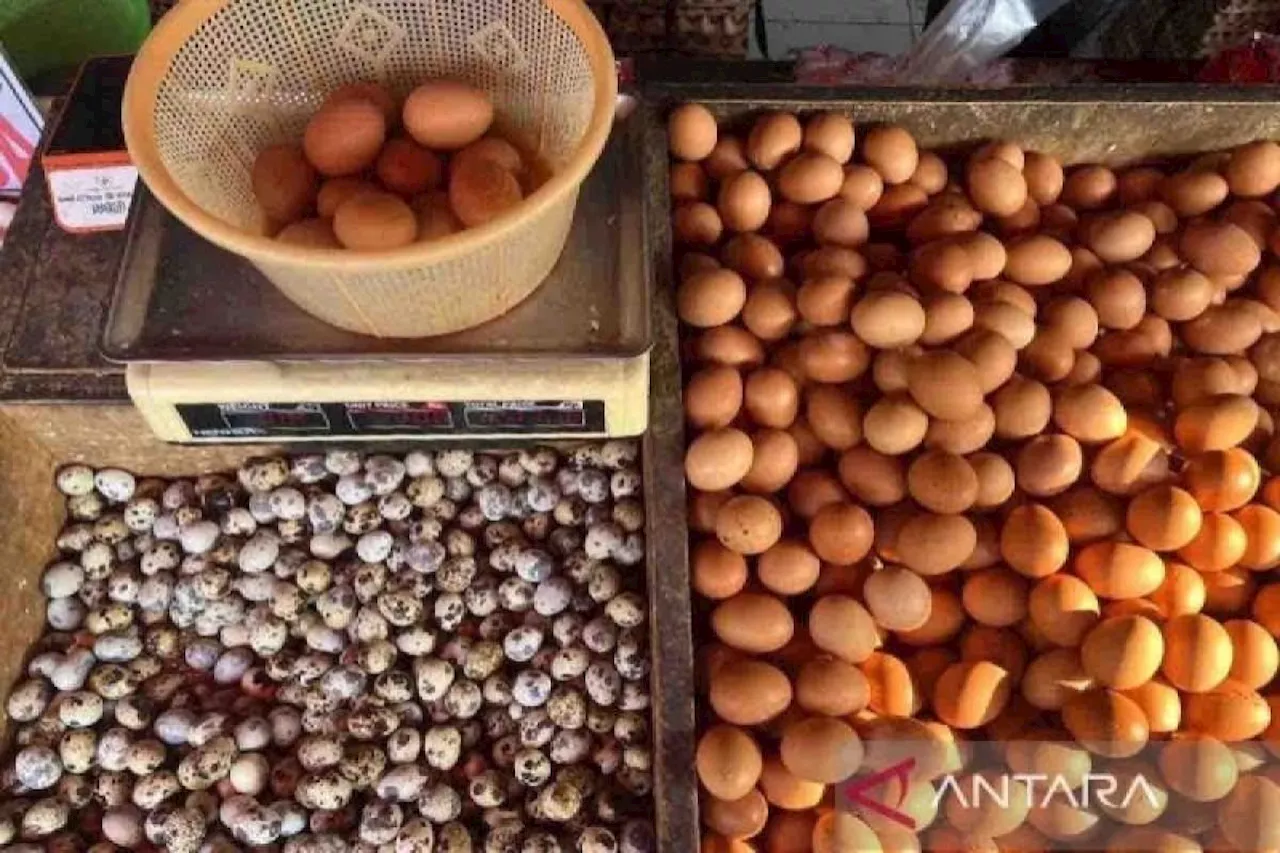 Harga Pangan Naik Didukung Kenaikan Harga Telur Ayam Ras