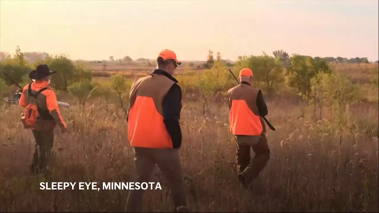 Tim Walz Opens Pheasant Season Hunting In Minnesota - Tim Walz ...