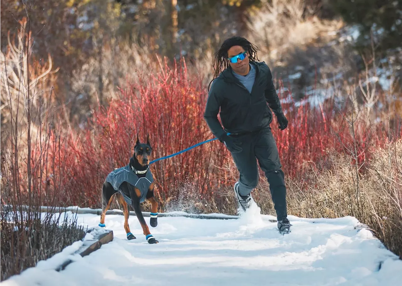 Ruffwear Winter Gear: Keep Your Trail Dog Ready for Any Adventure This Season