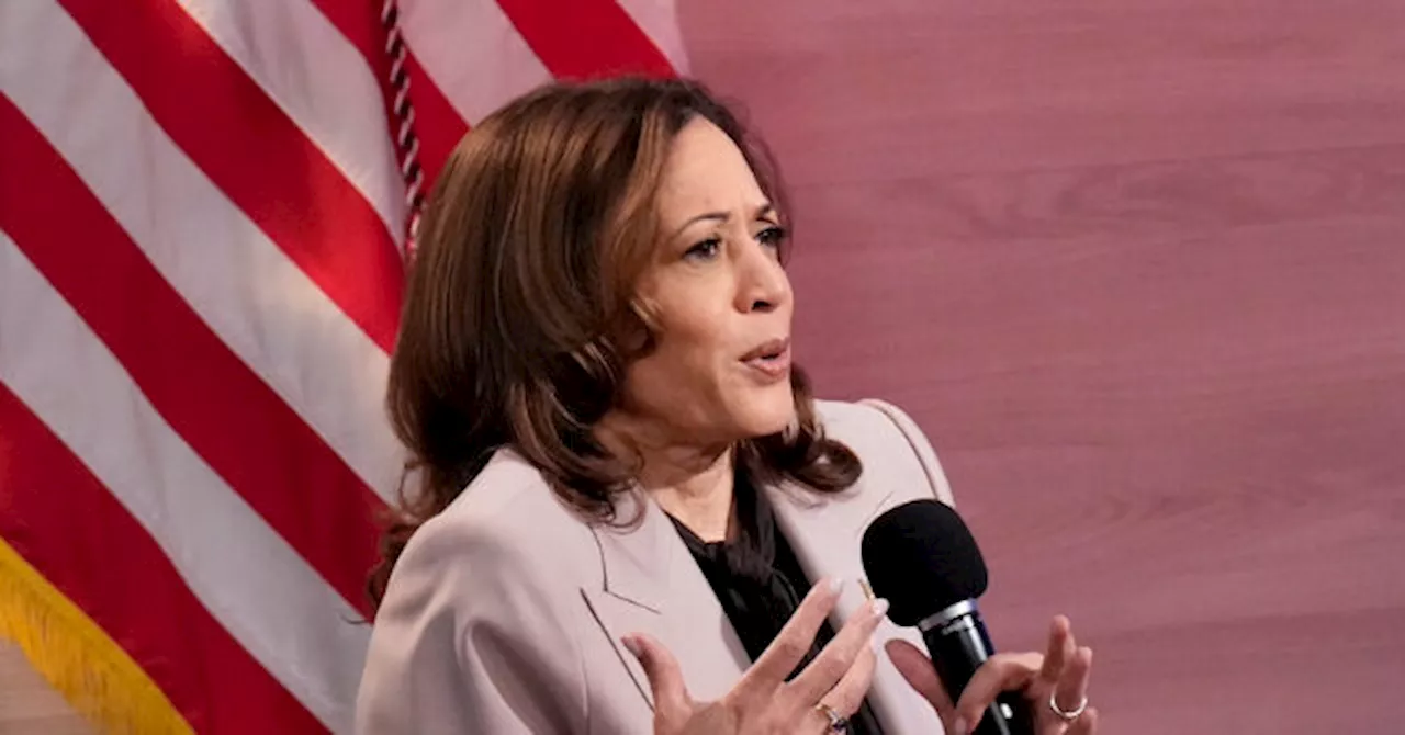 Fmr. Obama ICE Director: Harris Has ‘Difficult’ Issue on Why Acting on Border Took So Long