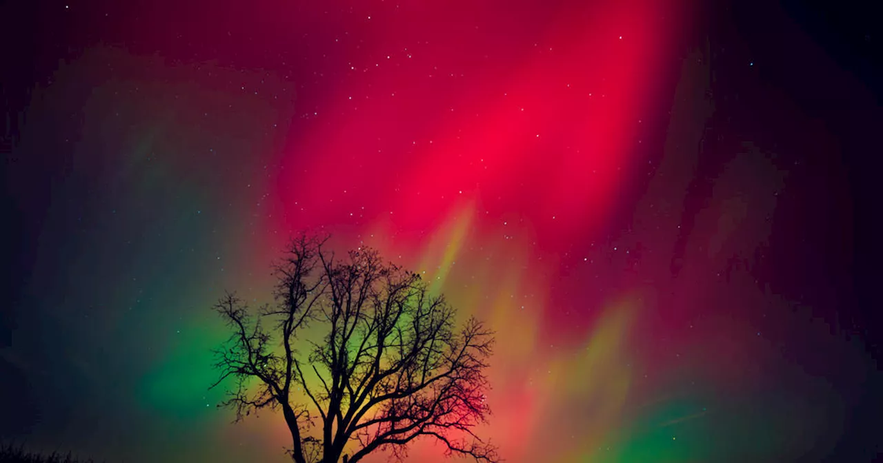 Northern Lights Could Paint Skies With Vibrant Hues Again Friday Night