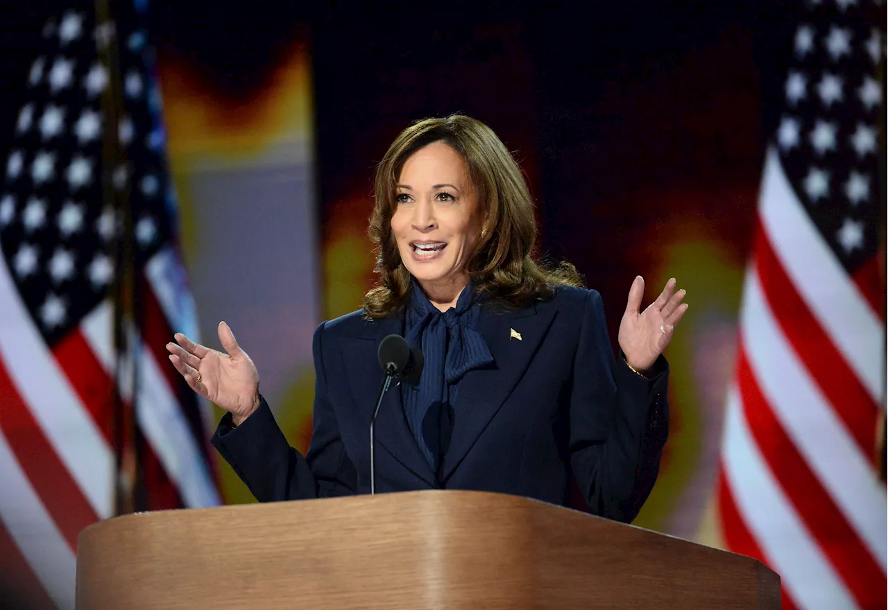 Quem é Kamala Harris, candidata democrata na disputa contra Trump