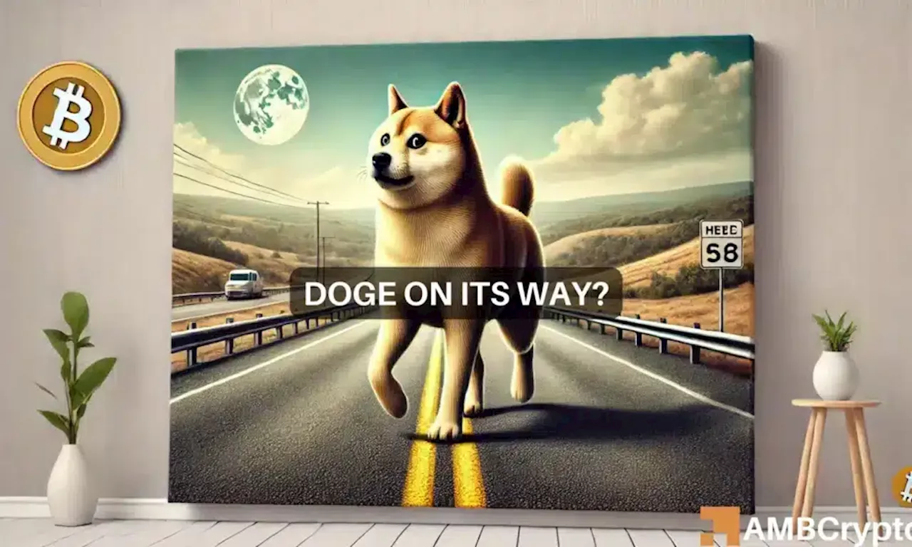 Dogecoin Set for Rally as Short-Term Trader Activity Soars