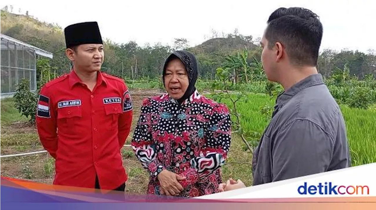 Risma dan Mas Ipin Beri Solusi Pertanian Masa Depan di Trenggalek