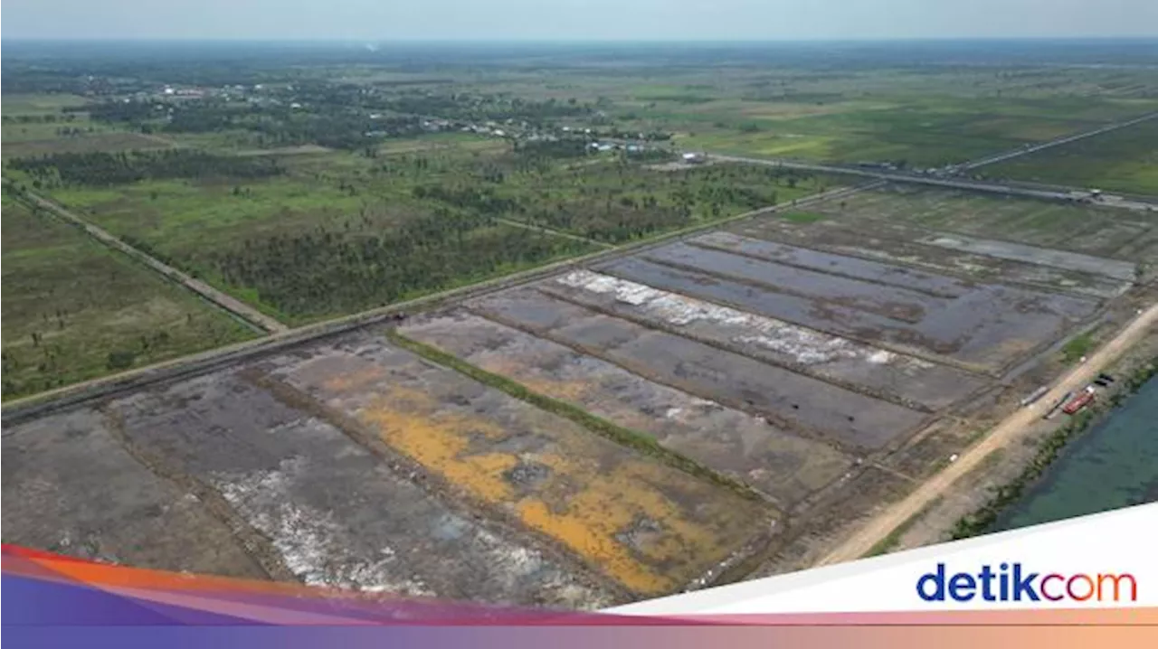 Ombudsman Dukung Cetak Sawah Bangun Irigasi untuk Genjot Produksi Padi