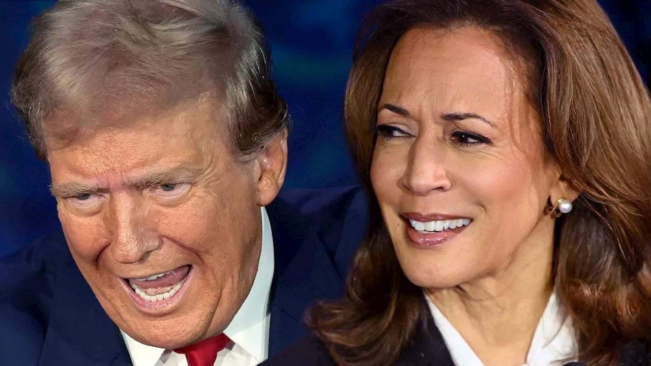 Kamala Harris Has More Billionaires Openly Backing Her Than Trump (But Many Are Staying Silent)