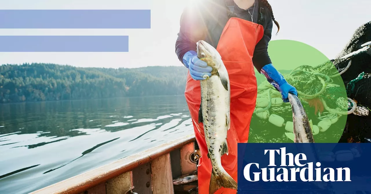 From the sea to your plate: how to choose more sustainable salmon