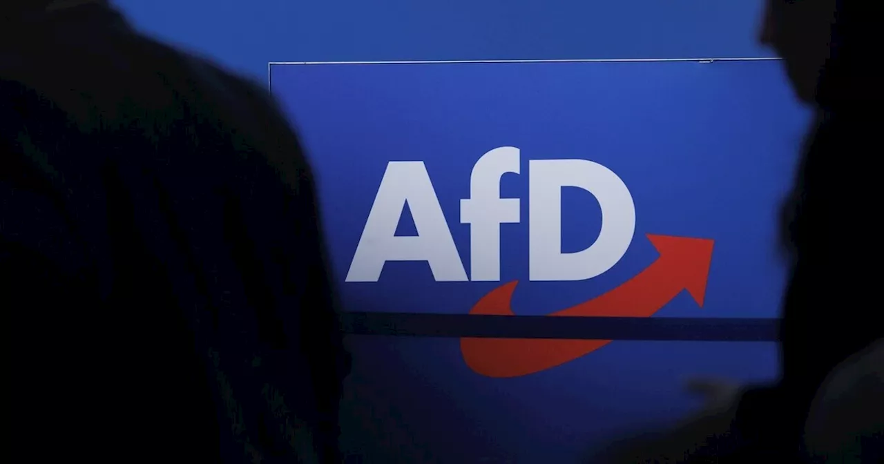 Debatte über ein AfD-Verbotsverfahren: Demokratie schützen statt Abschreckung