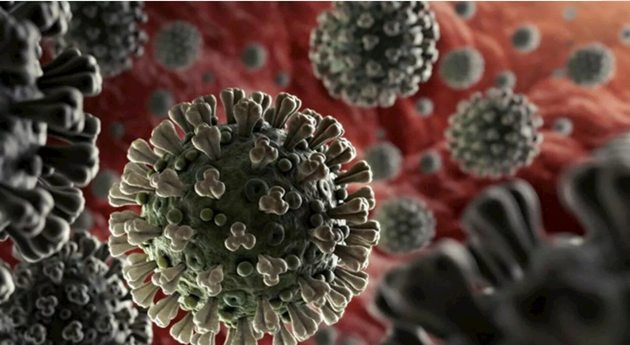 Covid, le micro ondate (variabili) e il virus endemico: ecco cosa succederà nei prossimi mesi con la variante