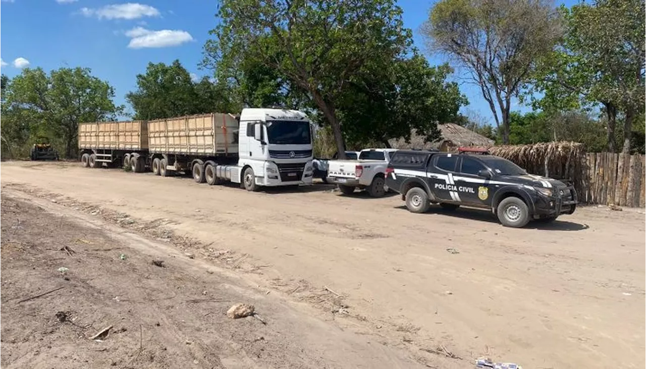 Polícia apreende carretas carregadas com madeira ilegal de eucalipto, no Maranhão