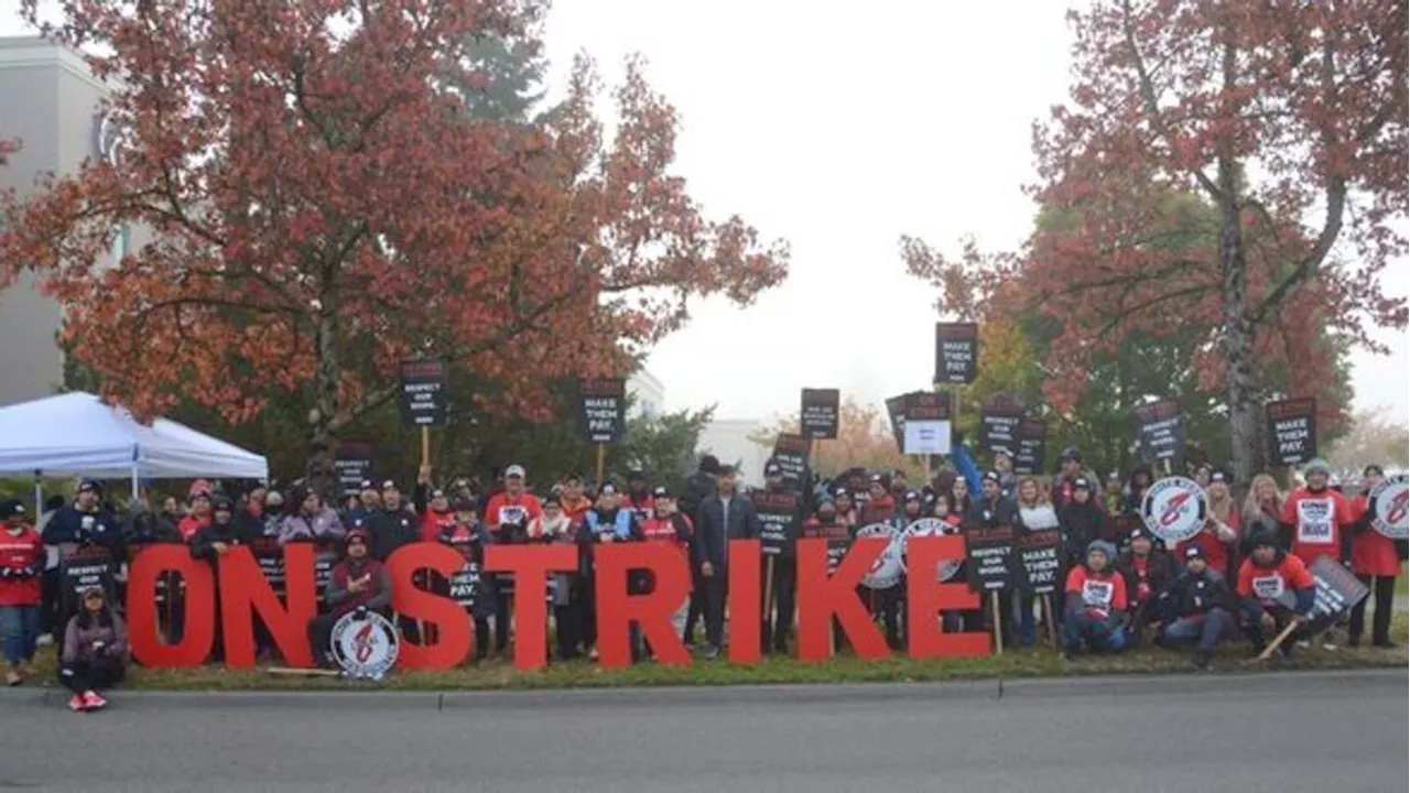 Over 100 hotel workers strike at Seattle Airport hotels for better pay