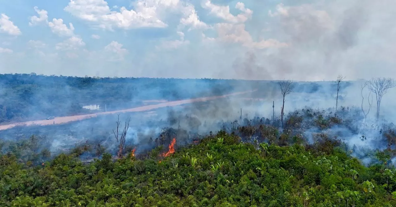 Gezielte Brandstiftungen: Um 150 Prozent mehr Brandfläche in Brasilien