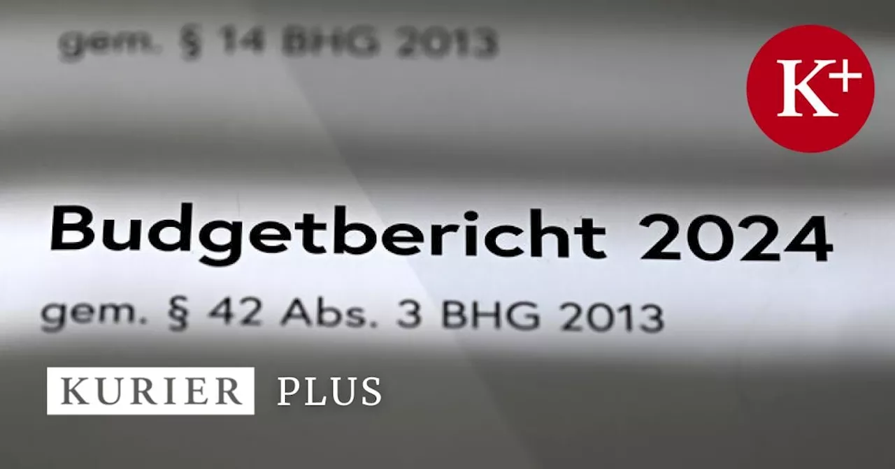 Österreichs nächste Regierung muss Sparpaket schnüren