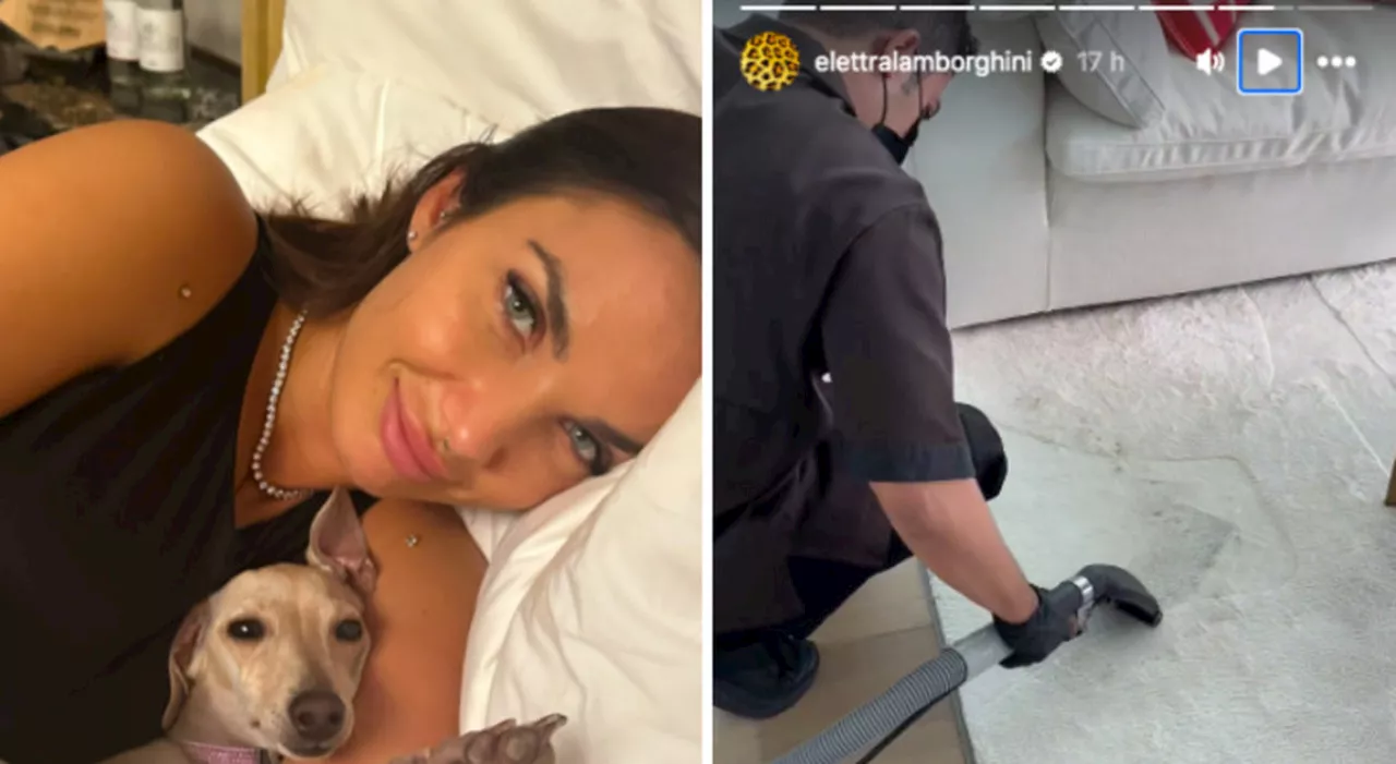 Elettra Lamborghini, il cane fa i bisogni sul tappeto: «Ultimamente sono troppo sfortunata». Per pulire chiama