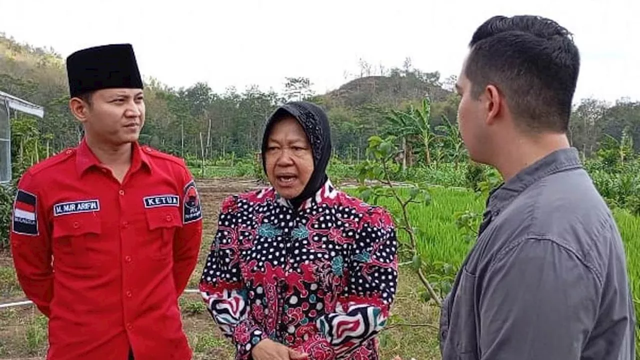 Dorong Pertanian Masa Depan, Bu Risma dan Mas Ipin Beri Solusi Pertanian ala Petani Trenggalek