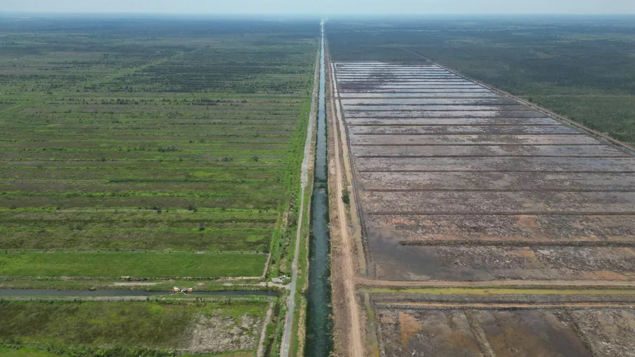 Menuju Pangan Berkelanjutan! Ombudsman Dorong Cetak Sawah dengan Penguatan Irigasi