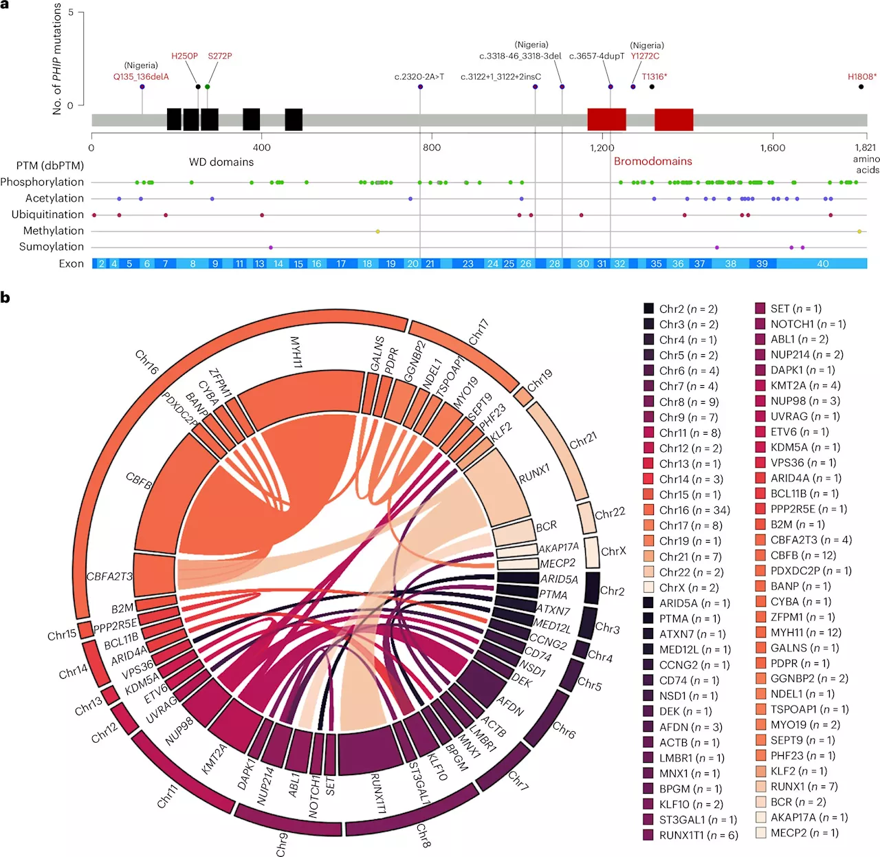 Study identifies genetic factors crucial in acute myeloid leukemia survival for Black patients