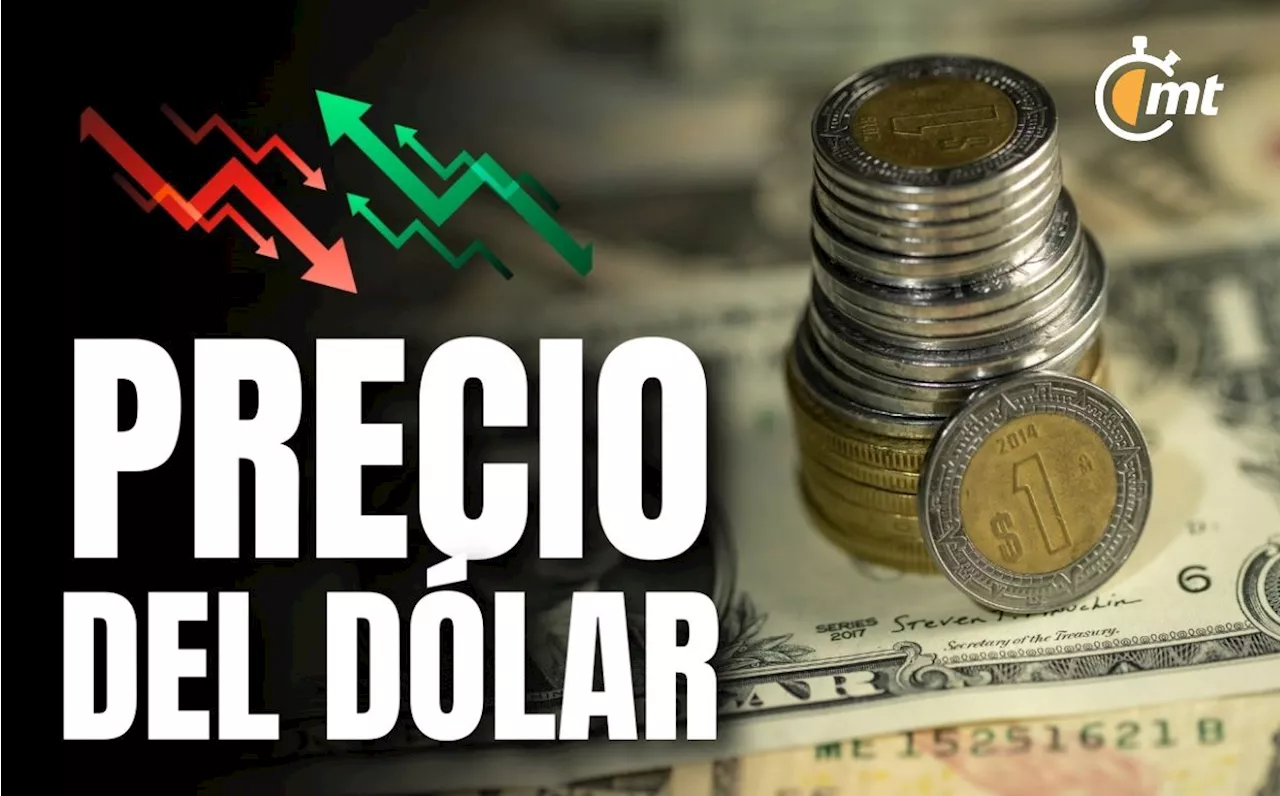 Precio del dólar hoy 12 de octubre 2024: Así va el peso en México al momento