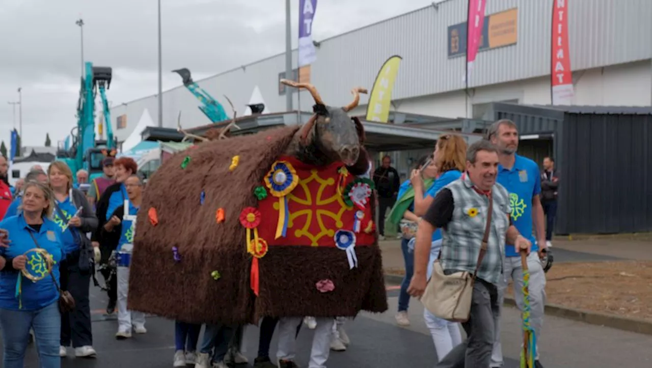 Le carnaval traditionnel de la Foire internationale de Montpellier a déambulé malgré le mauvais temps