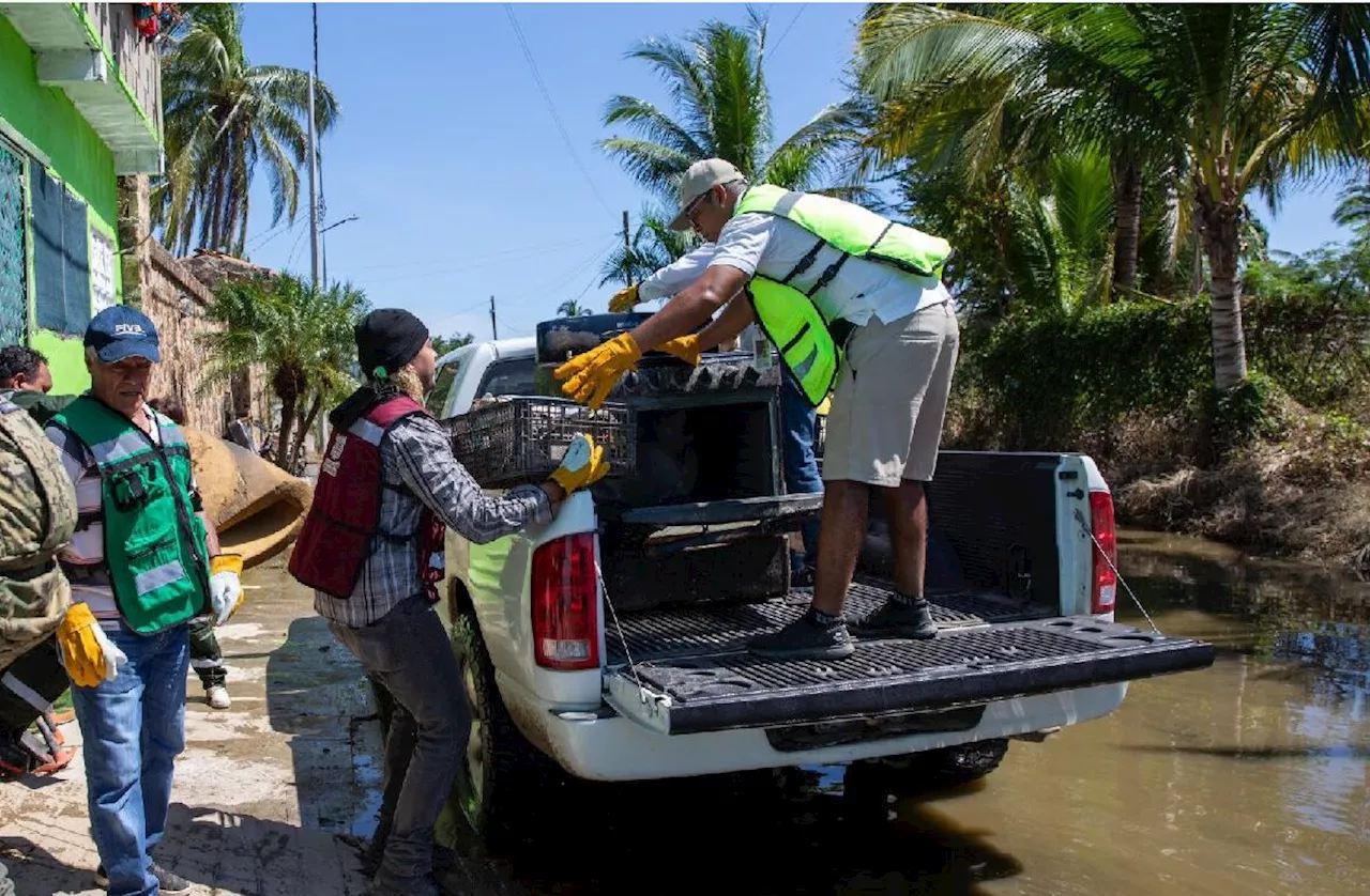 Sectur lidera brigadas de limpieza en Acapulco con 244 servidores públicos tras huracán ‘John’