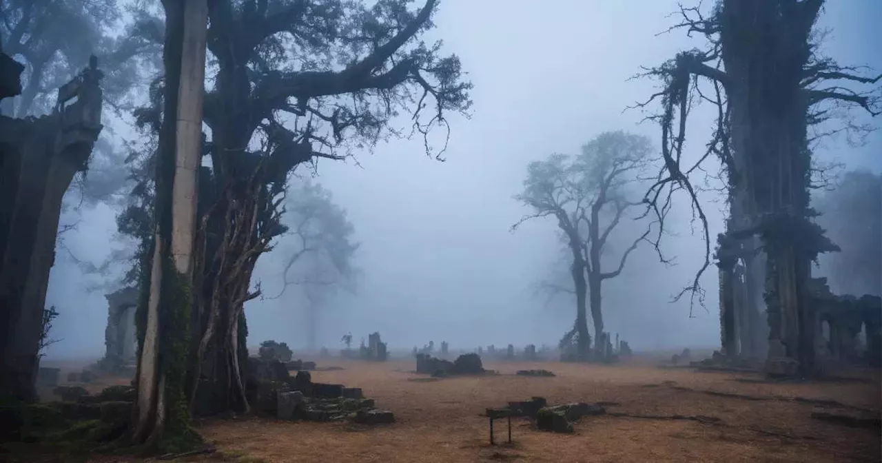 Bihar Weather: बिहार से आज मॉनसून की विदाई, जानिए कब से आ रहा गुलाबी ठंड वाला मौसम