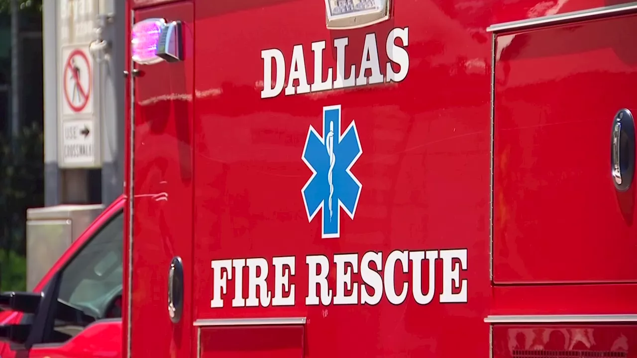 Fire at Dallas mobile home park leaves man, three dogs dead